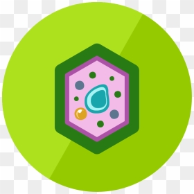 The Plant Cell - Plant Cell Icon Png, Transparent Png - cell icon png