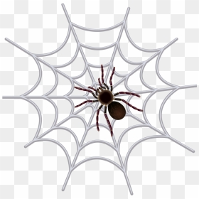 Transparent Png Spider Web Clipart , Png Download - Web Drawing For Kids, Png Download - spider web transparent png