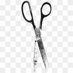 Now You Can Download Scissors Icon Png - Scissor Photography, Transparent Png - scissors icon png