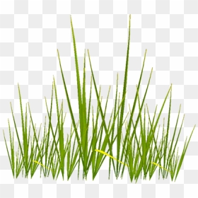 Grass Texture Png - Transparent Grass Texture Png, Png Download - grass png texture