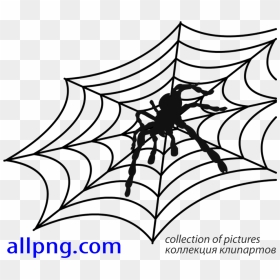 Spider Web Vector Png - Spider Web Vector, Transparent Png - spider web transparent png