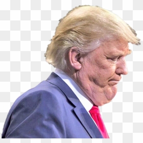 Personunflattering Picture Of Donald Trump - Trump's Ugly, HD Png Download - donald trump.png