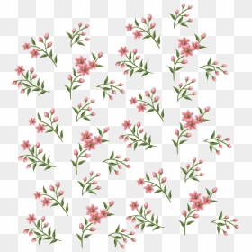Floral Background Png Download - Hd Tropis, Transparent Png - floral background png