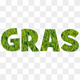 Calligraphy, HD Png Download - grass png texture