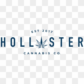 Hollister Cannabis Logo, HD Png Download - hollister logo png