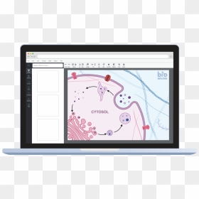 Screenshot, HD Png Download - cell icon png