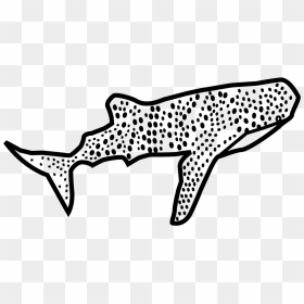 Clip Art, HD Png Download - whale shark png