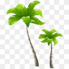 Palm Trees - Palmiers - Tall And Short Trees, HD Png Download - palmera png