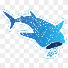 Transparent X Ray Fish Clipart - Cartoon Whale Shark Clipart Png, Png Download - whale shark png