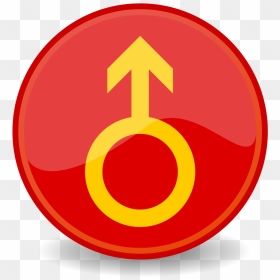 Icon, HD Png Download - male icon png