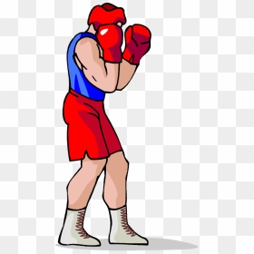 Free Boxer Vector Clip Art Image From Free Clip Art - Boxing Clipart Png, Transparent Png - boxers png