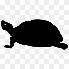 Clipart Turtle Silhouette - Transparent Turtle Silhouette Clipart, HD Png Download - turtle silhouette png