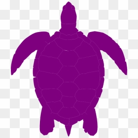 Sea Turtle Silhouette Clip Art - Sea Turtle Silhouette Drawing, HD Png Download - turtle silhouette png