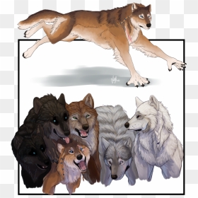 Teen Wolf Season 6 Concept - Wolfdog, HD Png Download - teen wolf png