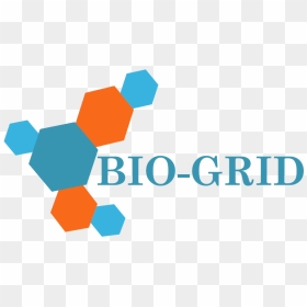 Bio Grid Cleanroom Ceiling System - Bio Grid, HD Png Download - vaporwave grid png
