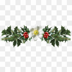 Thumb Image - Transparent Christmas Mistletoe Png, Png Download - mistle toe png