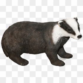 Badger Figurine Clip Arts - Badger, HD Png Download - badger png