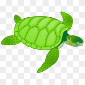 Sea Turtle Clipart Png, Transparent Png - turtle silhouette png