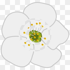 Clip Art, HD Png Download - flower .png
