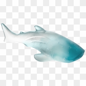 Great White Shark, HD Png Download - whale shark png