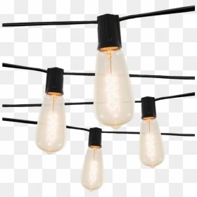 Smith And Hawken 10 String Lights, HD Png Download - twinkle lights png