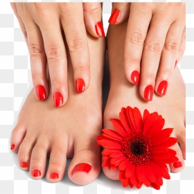 Transparent Toe Png - Transparent Background Nails Png, Png Download - manicure png