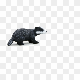 Badger Png11 - Hufflepuff Honey Badger Drawing, Transparent Png - badger png