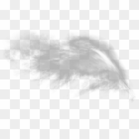Sketch , Png Download - Sketch, Transparent Png - white fur png