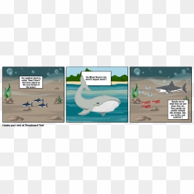 Storyboard, HD Png Download - whale shark png