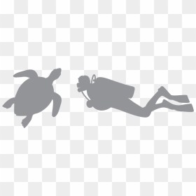 Turtles, HD Png Download - turtle silhouette png