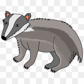 Badger Clipart, HD Png Download - badger png