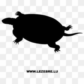 T Shirts Cao Azul, HD Png Download - turtle silhouette png