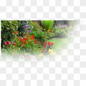 Garden Products - Garden, HD Png Download - mulch png