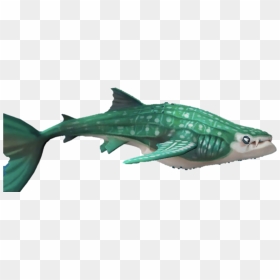 Level 0 Picture1 Copy - Drawing Hungry Shark World, HD Png Download - whale shark png