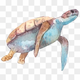 Cartoon Turtle Png Transparent - Turtle Watercolor Art, Png Download - turtle silhouette png