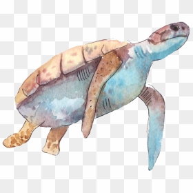 Cartoon Turtle Png Transparent - Turtle Watercolor Art, Png Download - turtle silhouette png