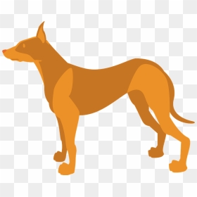 Pharaoh Hound Dog Animal Clipart - Pharaoh Hound, HD Png Download - dog .png