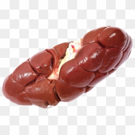 Cow Kidney Png , Png Download - Riñon Carne, Transparent Png - kidney png