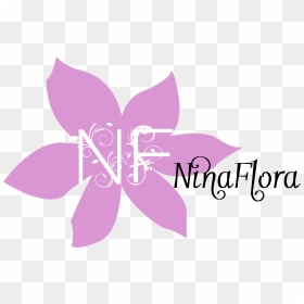 1st Birthday Png - Illustration, Transparent Png - 1st birthday png