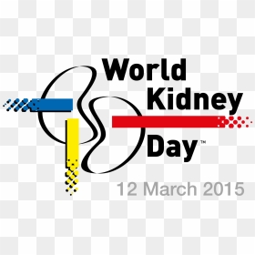 Fight Kidney Disease Day, HD Png Download - kidney png