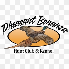 Pheasant Bonanza Hunt Club - Linn–benton Community College, HD Png Download - hunting png