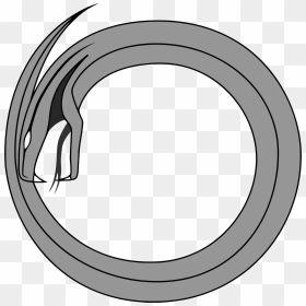 Viper Clip Arts - Circle, HD Png Download - viper png
