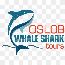 Transparent Whale Shark Png - Graphic Design, Png Download - whale shark png