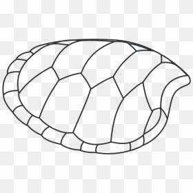 Turtle Shell Outline Svg Clip Arts - Draw A Turtle Shell, HD Png Download - turtle silhouette png