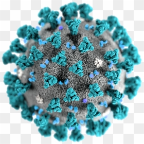 Coronavirus Disease Png Transparent Image - Coronavirus Picture Trasparent Png, Png Download - turquoise png
