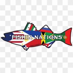 Fishin Nations - Portugal Flag, HD Png Download - bandera mexico png
