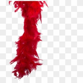 Feather Boa Png Pic - Feather, Transparent Png - boa png