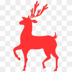 Rudolph Reindeer Santa Claus Christmas - Red Christmas Reindeer Png, Transparent Png - rudolph the red nosed reindeer png