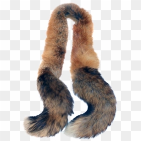 Png Black And White Download S Red Fox Tail Wrap Stole - Fur Boa Png, Transparent Png - white fur png