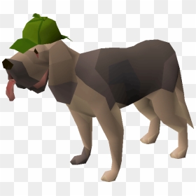 Old School Runescape Wiki - Osrs Master Clue Pet, HD Png Download - dog .png